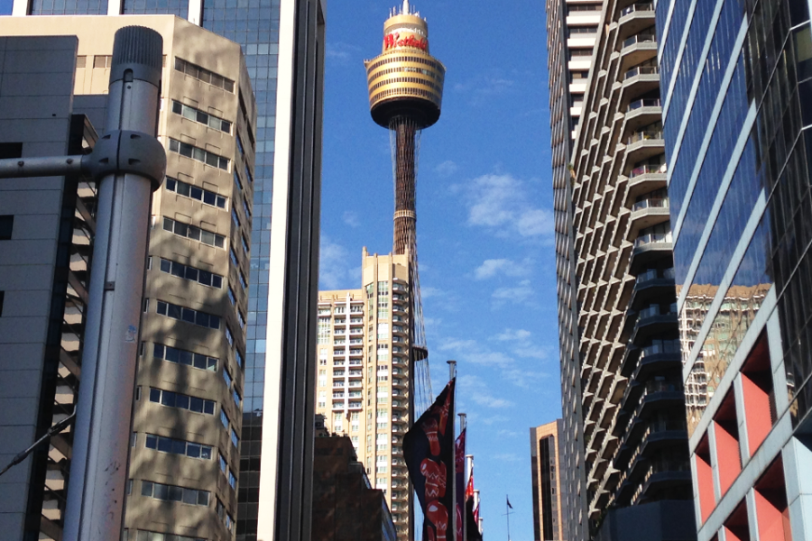 Sydney Tower を上る、チャリティー・イベント！